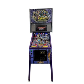 Aerosmith Limited Edition Flipper – Ansicht vorne