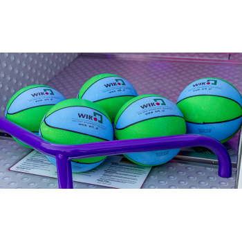 The Big Show Basketball