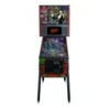 Elvira's House of Horrors Premium Flipper – Ansicht vorne